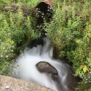 Meet your Posher, Lynn